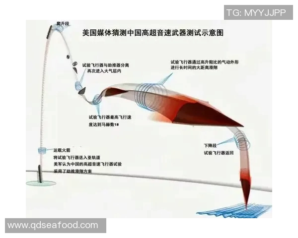 西安篮球队战术解析与发展探讨聚焦球队未来表现与挑战